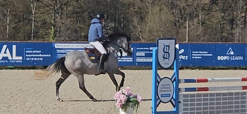 &Agrave; vendre jolie jument de 5 ans 