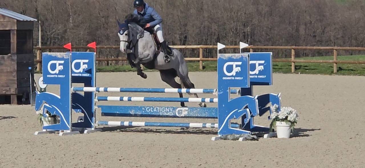 &Agrave; vendre jolie jument de 5 ans 