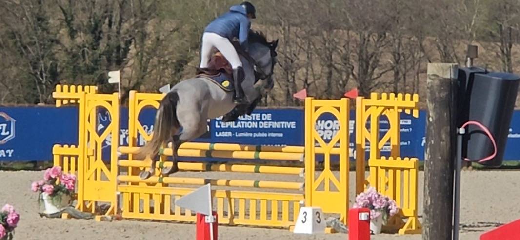 &Agrave; vendre jolie jument de 5 ans 