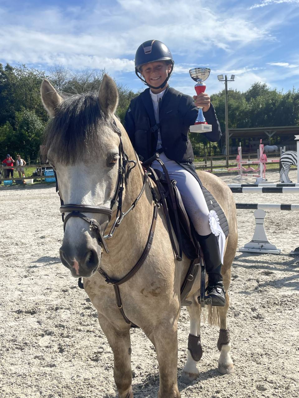 Poney Connemara &agrave; vendre 