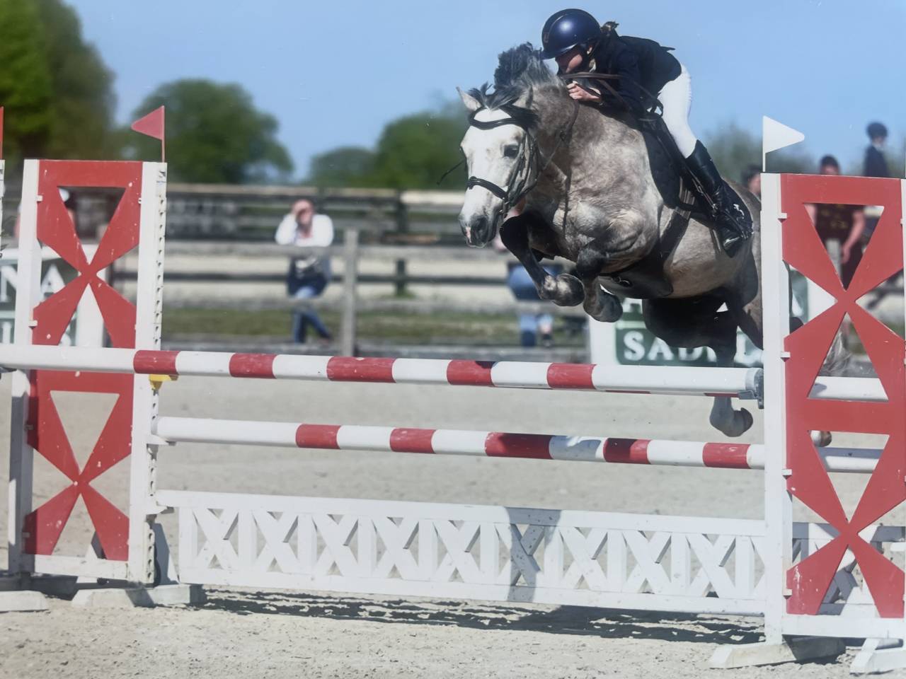 Poney Connemara &agrave; vendre 
