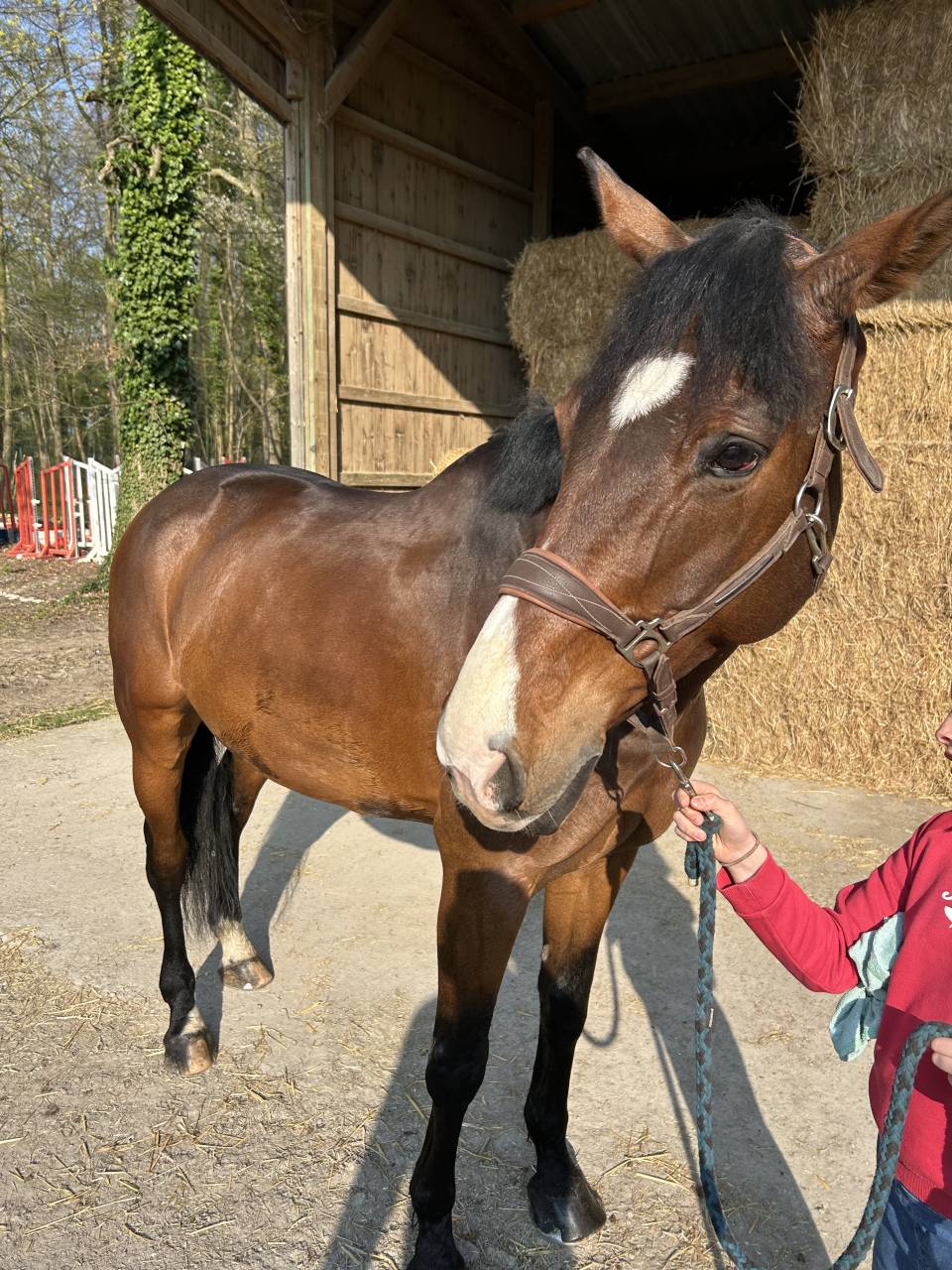 Envolmoi d&rsquo;Harreville SF 12 ans 