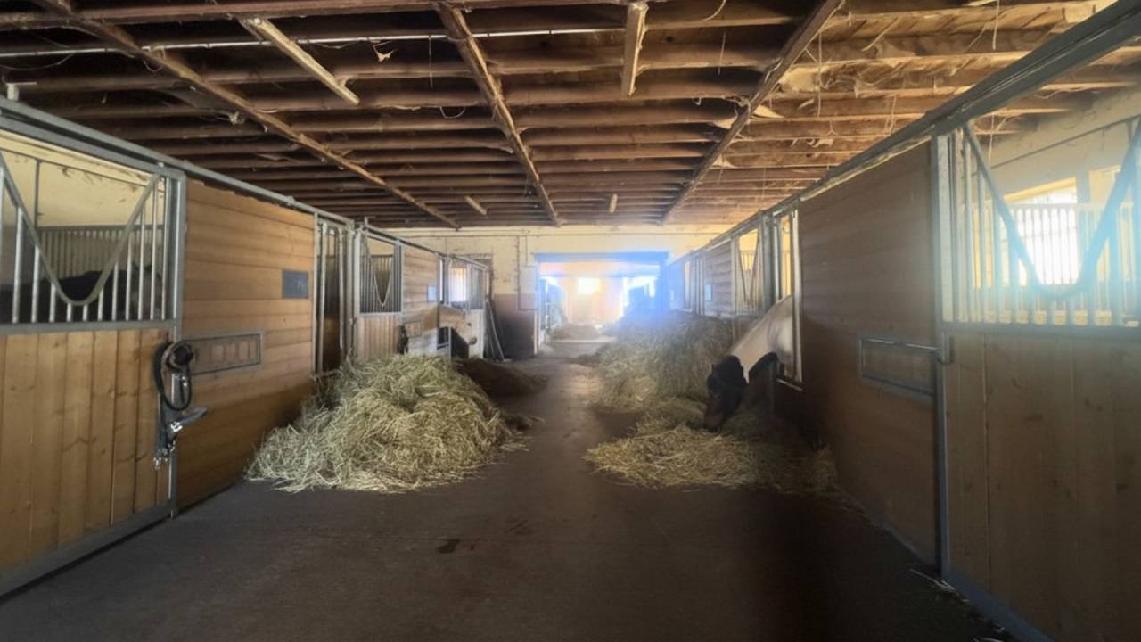 Propri&eacute;t&eacute; &eacute;questre avec habitations, et 6,5 ha (12 ha)