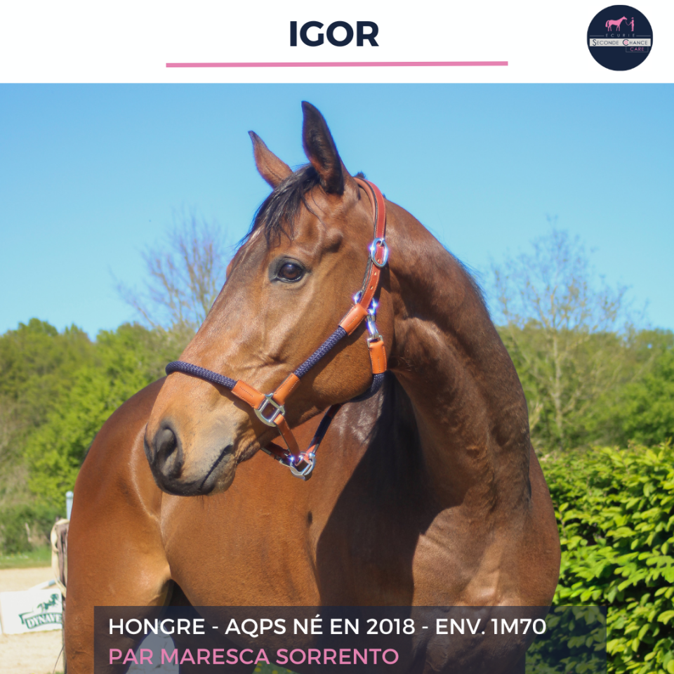 IGOR - AQPS - 8 ANS