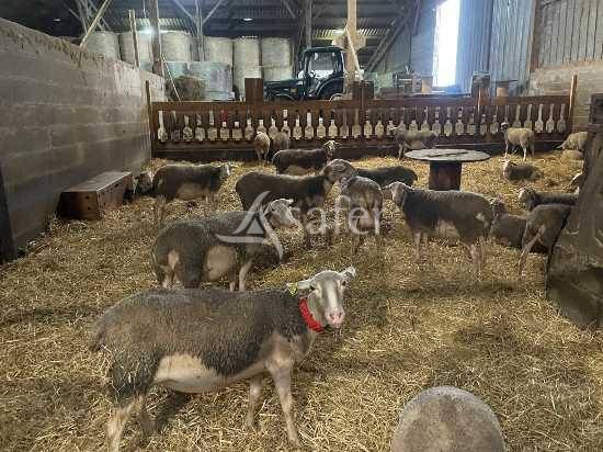 B&acirc;timent d'exploitation