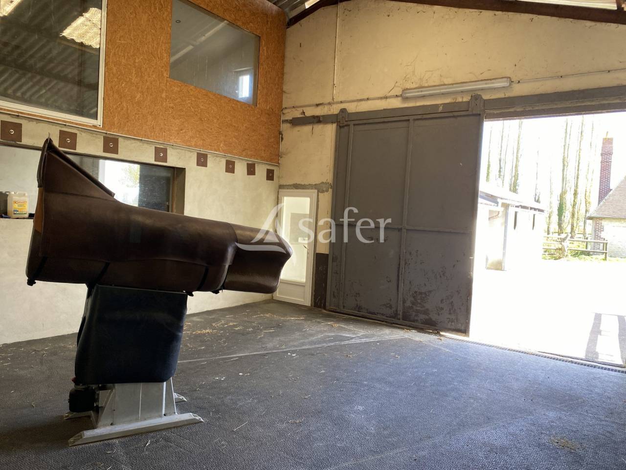 Haras Chevaux de Sport - Centre de Reproduction - &eacute;levage et va