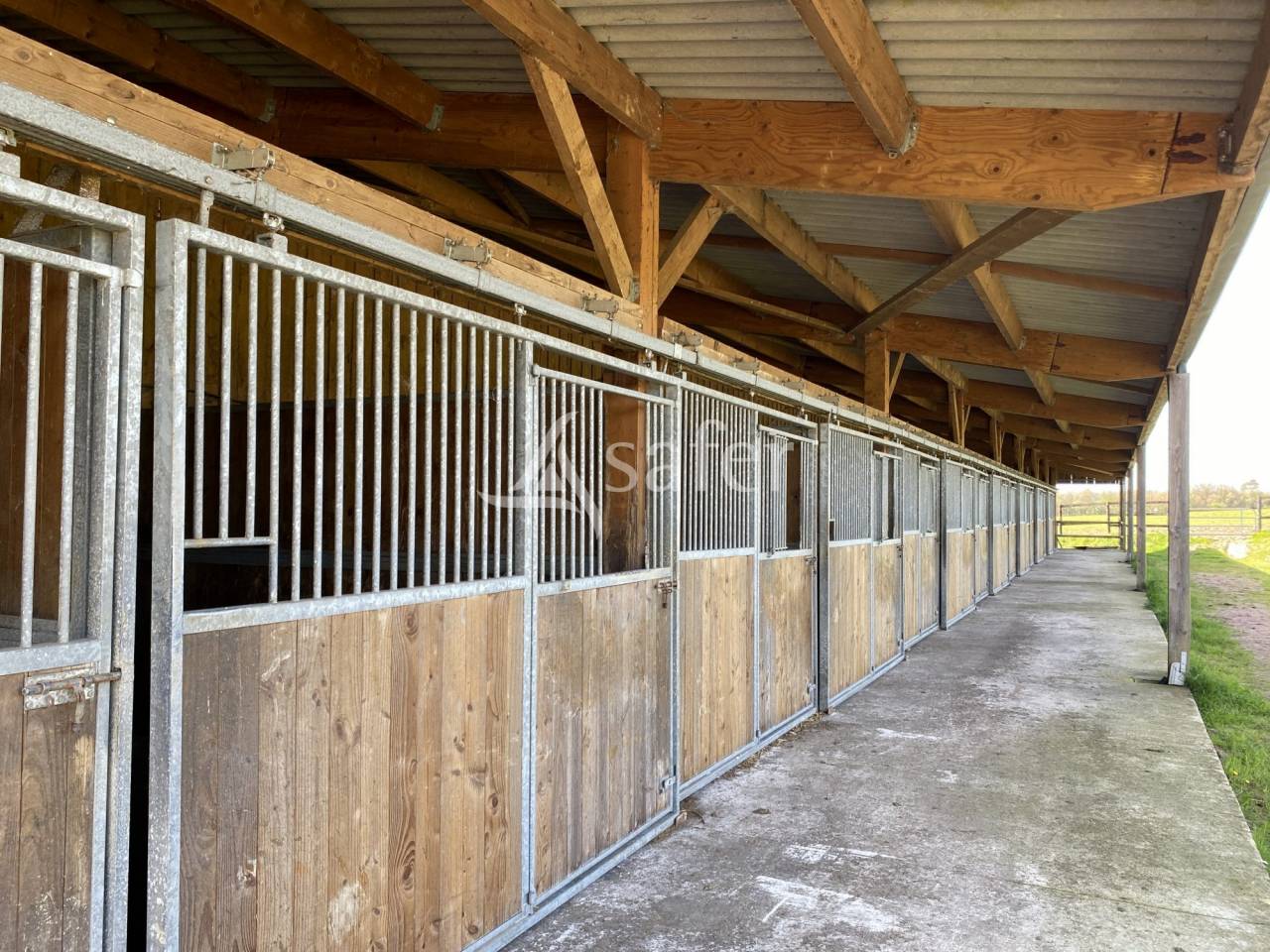 Haras Chevaux de Sport - Centre de Reproduction - &eacute;levage et va