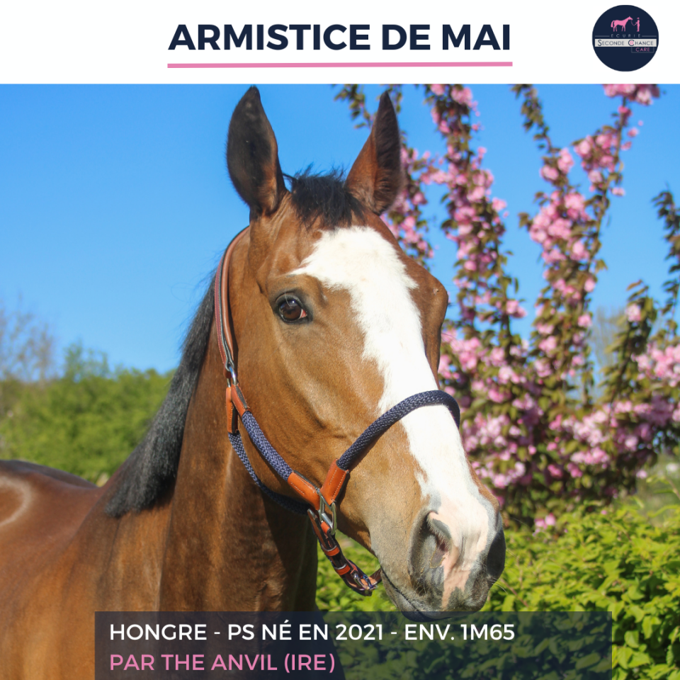 ARMISTICE DE MAI - PS - 5 ANS