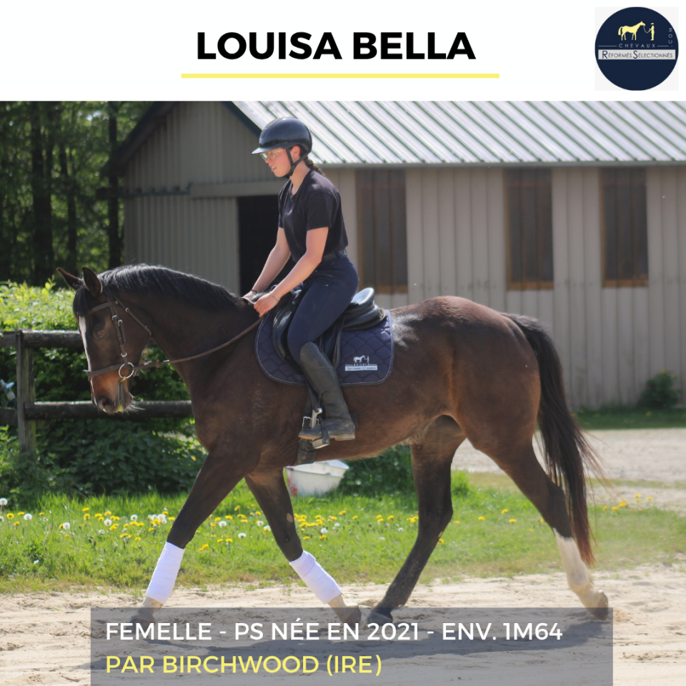 LOUISA BELLA - PS - 5 ANS