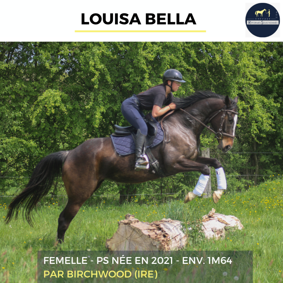 LOUISA BELLA - PS - 5 ANS