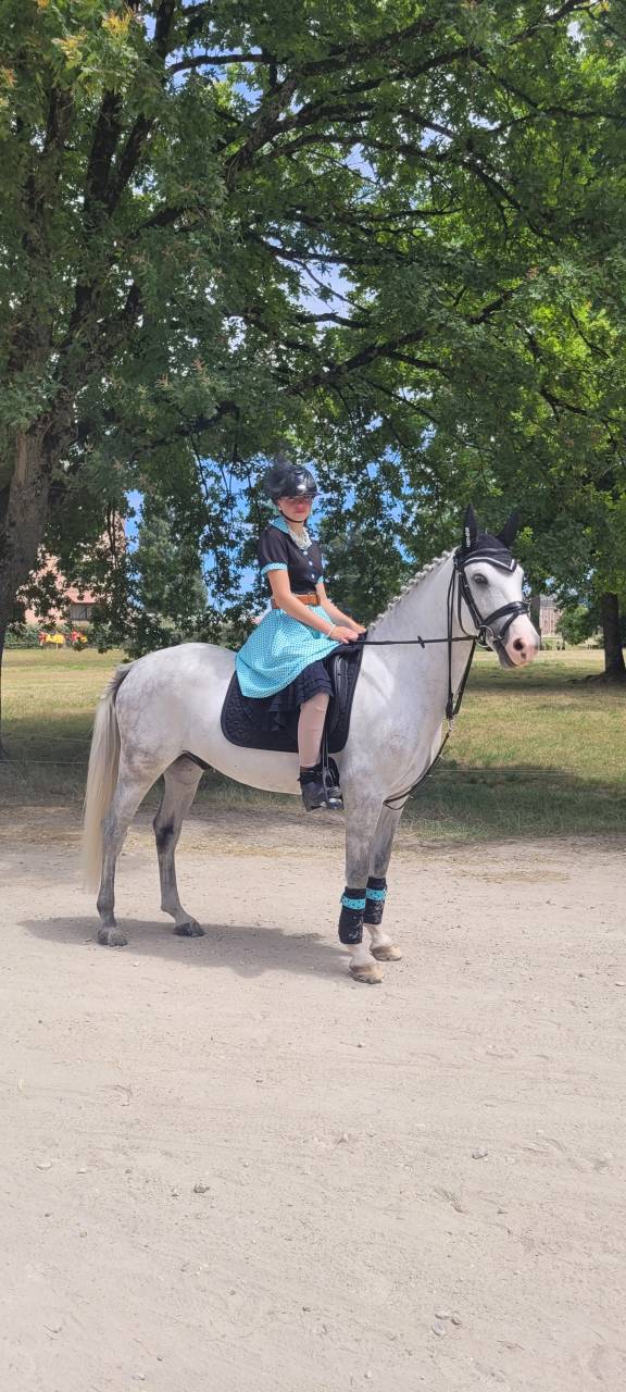 Poney de sport