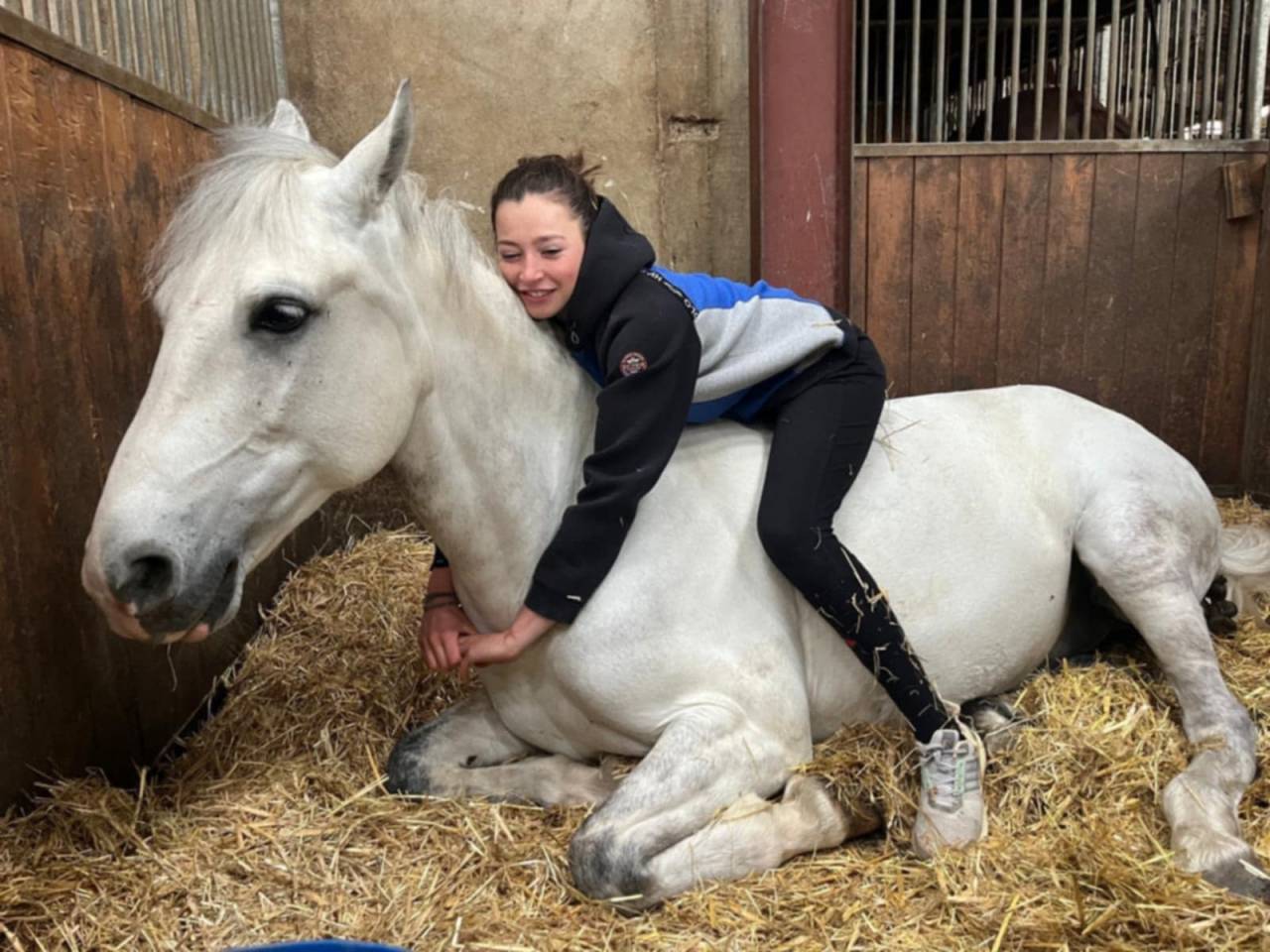 Poney de sport