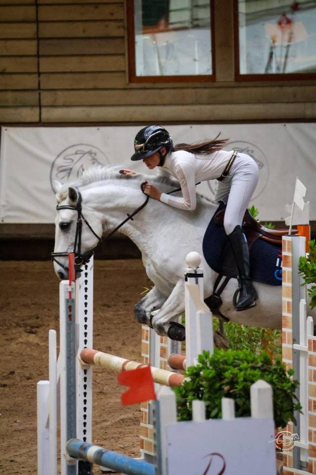 Poney de sport