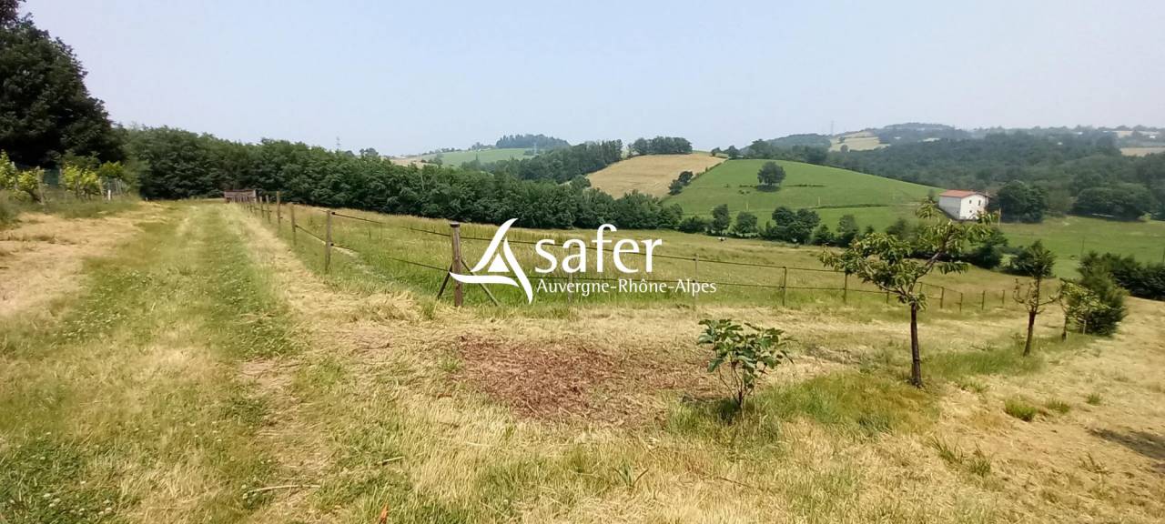 Propri&eacute;t&eacute; &agrave; vocation &eacute;questre en r&eacute;gion st&eacute;phanoise