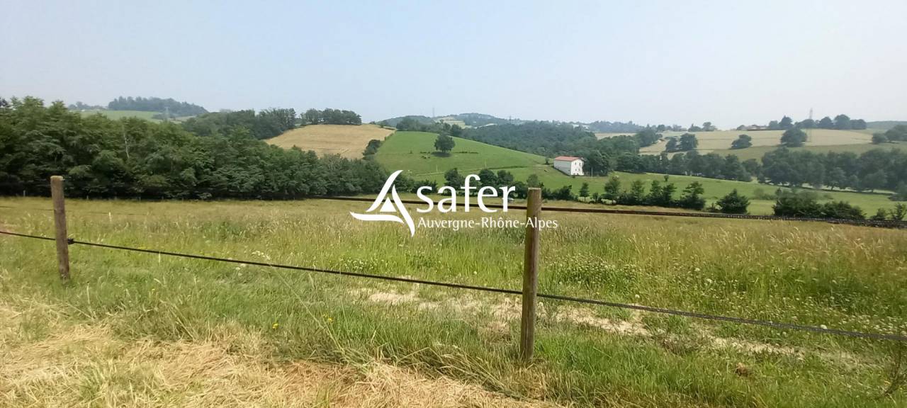 Propri&eacute;t&eacute; &agrave; vocation &eacute;questre en r&eacute;gion st&eacute;phanoise