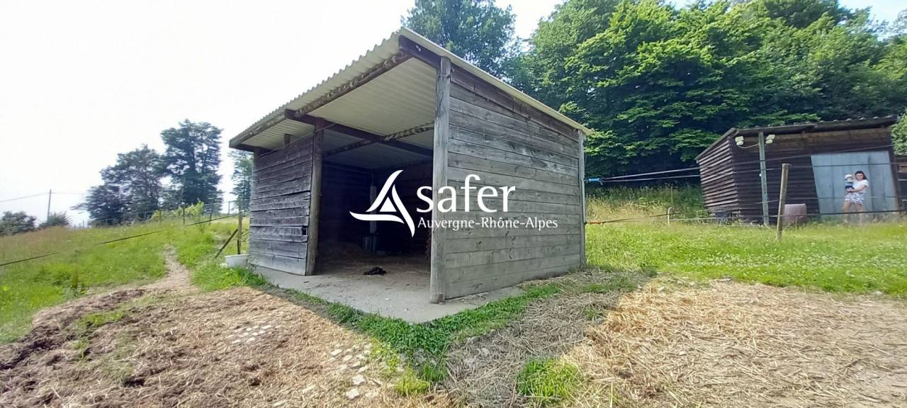 Propri&eacute;t&eacute; &agrave; vocation &eacute;questre en r&eacute;gion st&eacute;phanoise