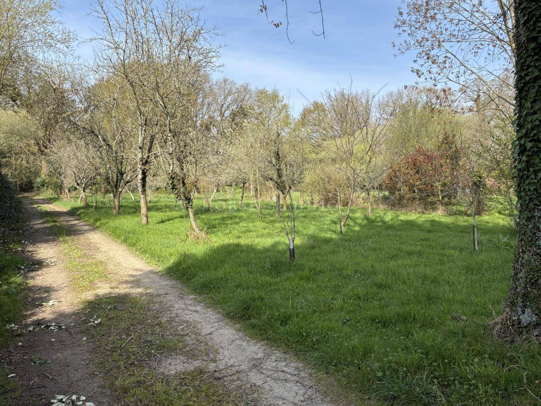 Domaine de charme 340 m&sup2; + terrain 3,6 ha - fort potentiel