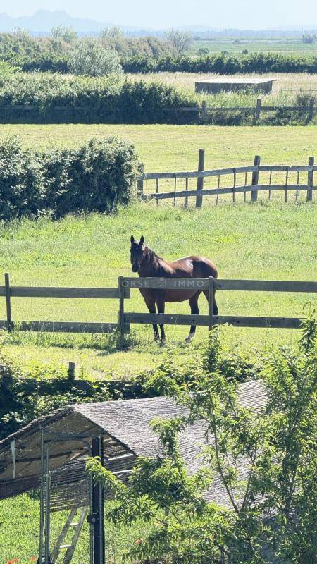 Camargue - Splendide domaine de 13 hectares