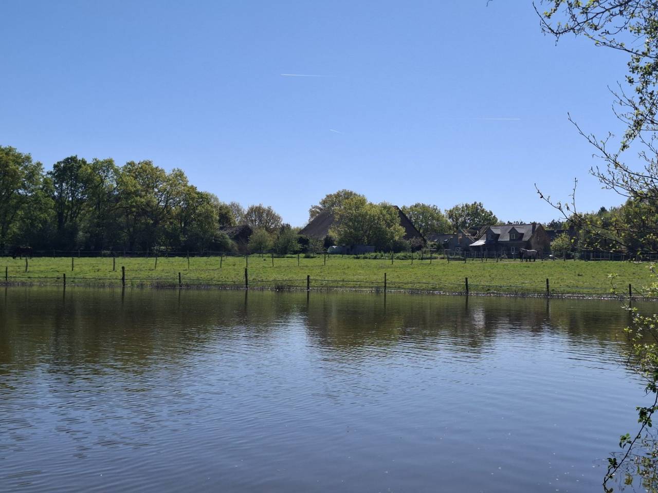 ? Domaine &eacute;questre de prestige avec &eacute;tang priv&eacute;  10 hec