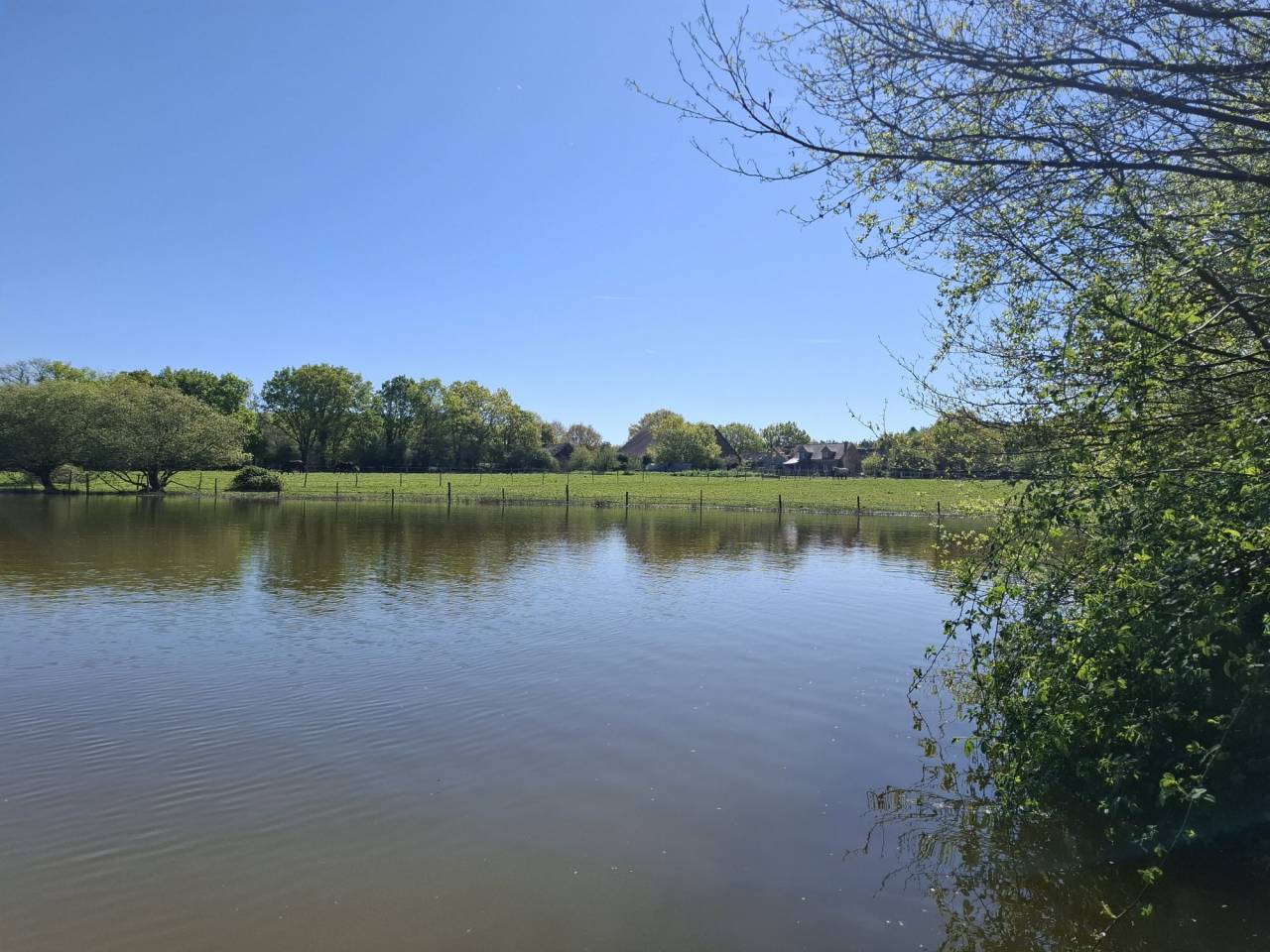 ? Domaine &eacute;questre de prestige avec &eacute;tang priv&eacute;  10 hec