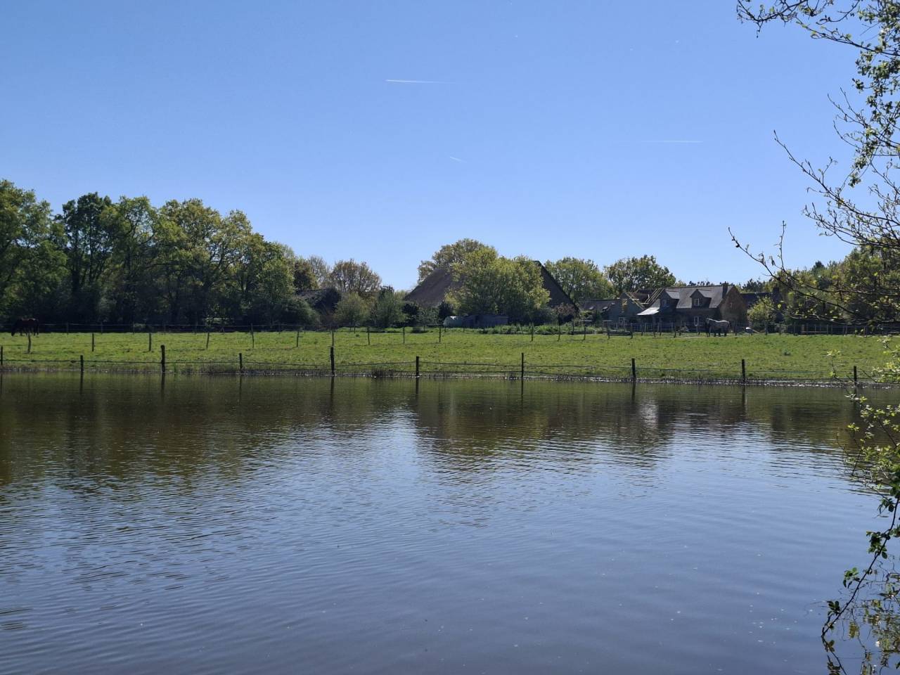 ? Domaine &eacute;questre de prestige avec &eacute;tang priv&eacute;  10 hec