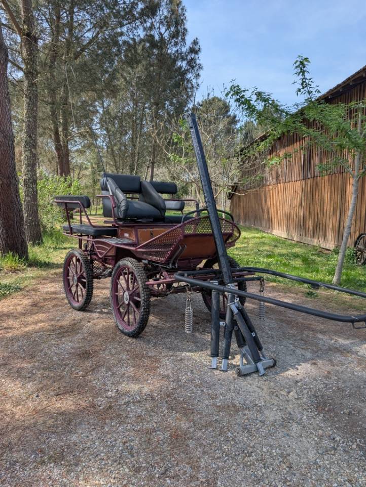 CALECHE DE MARATHON 6 PLACES