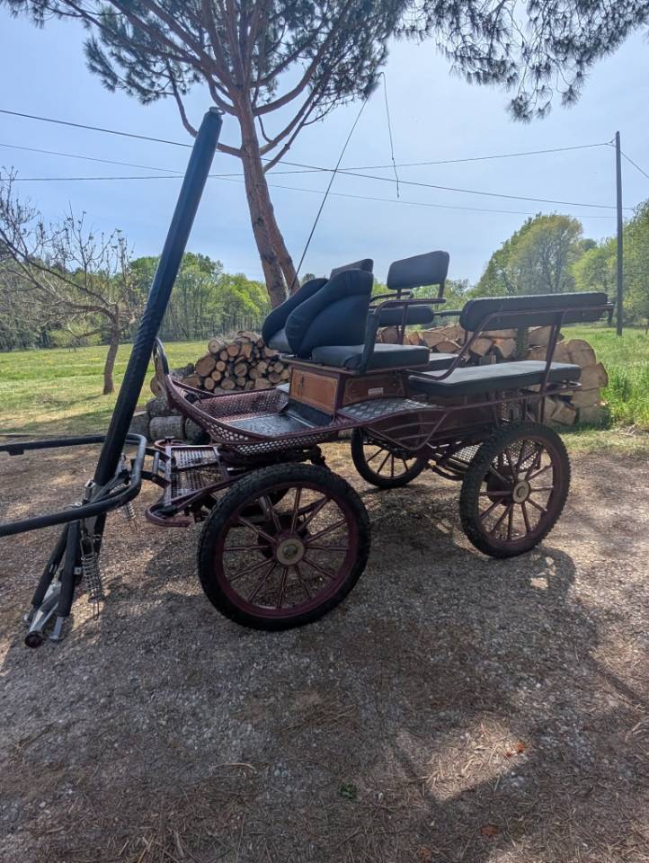 CALECHE DE MARATHON 6 PLACES