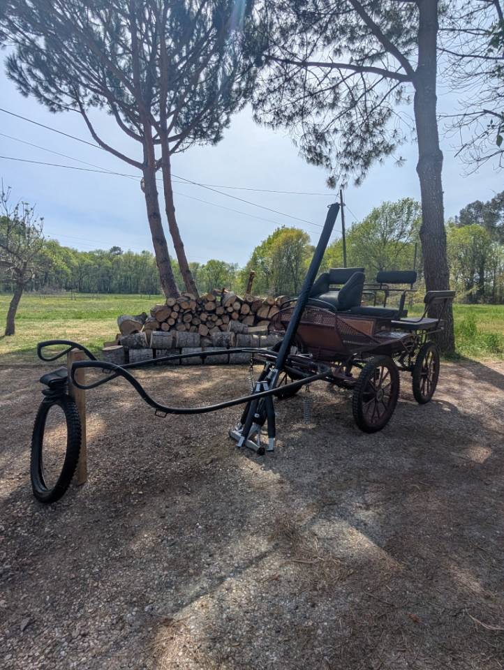 CALECHE DE MARATHON 6 PLACES