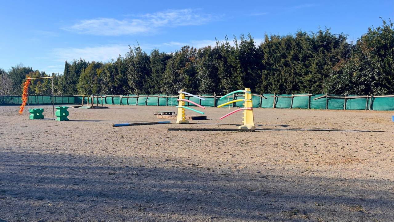  Alpilles : mas proven&ccedil;al authentique sur 5,5 hecatres 