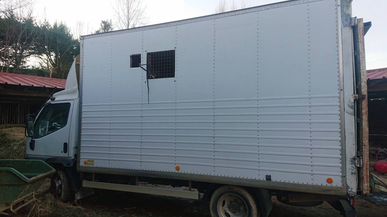 &agrave; vendre camion vl chevaux