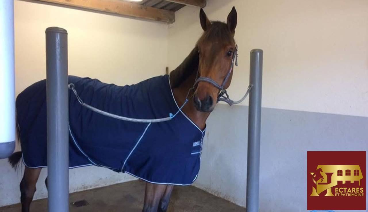 Propri&eacute;t&eacute; &eacute;questre 3,4 hectares