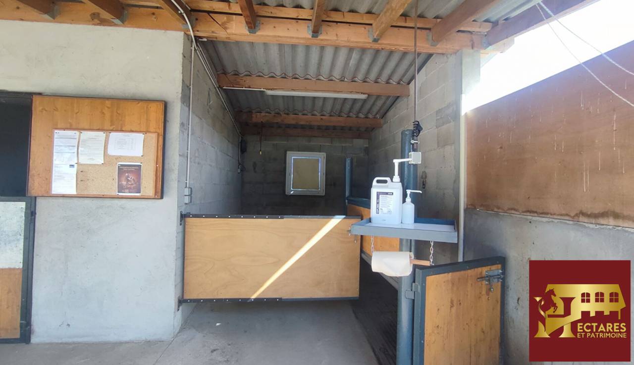 Propri&eacute;t&eacute; &eacute;questre 3,4 hectares