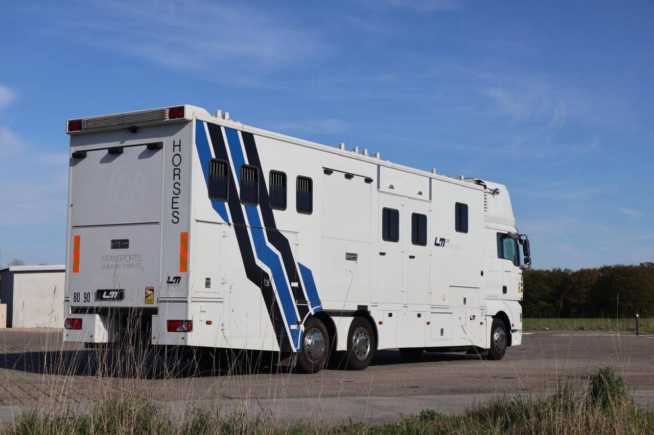 MAN TGA 26.430 6 CHEVAUX POP OUT JL XXL