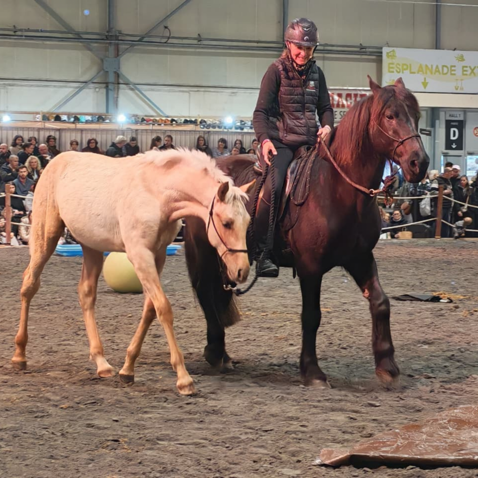 Emporio, un tr&egrave;s beau mental