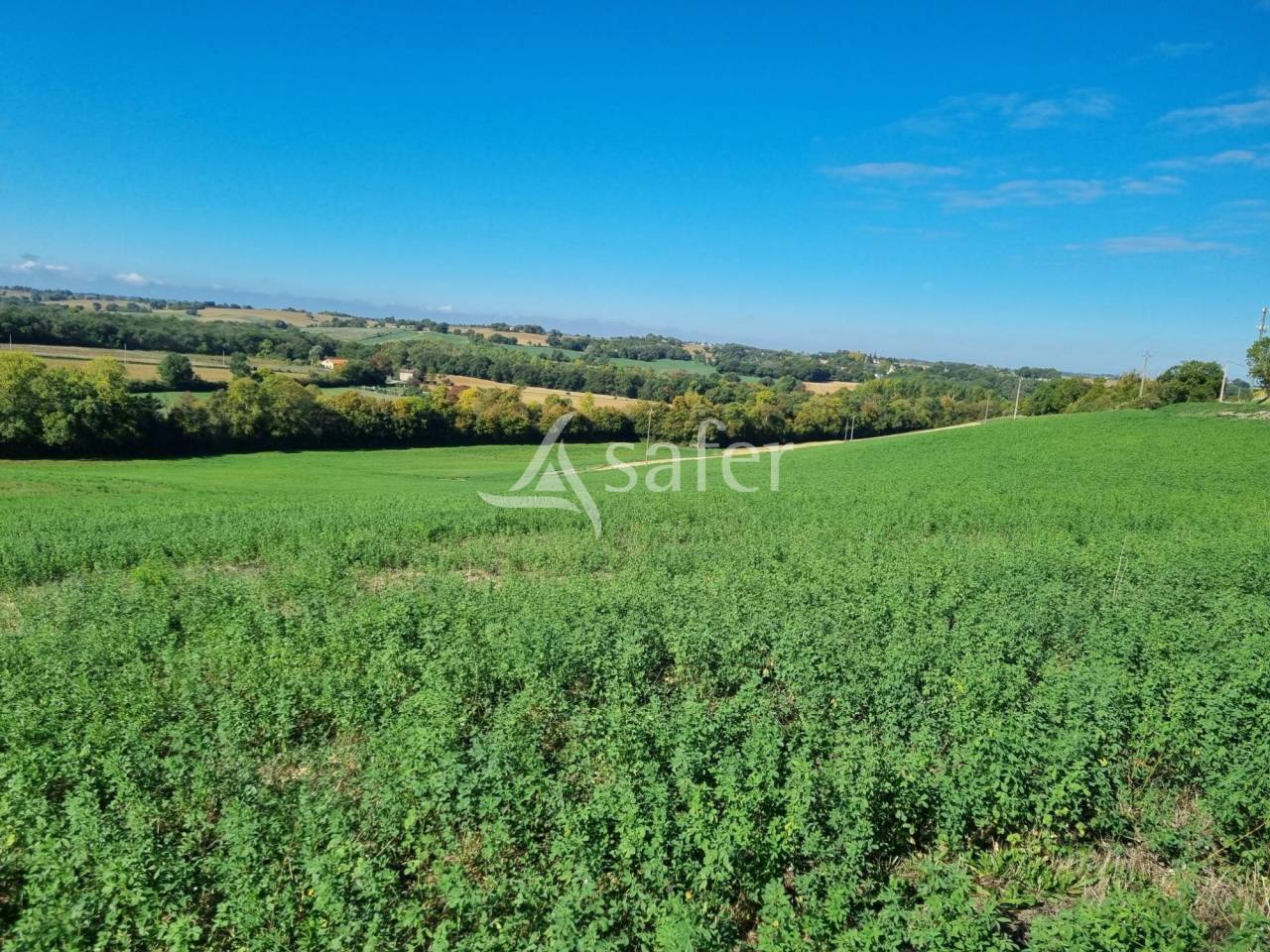 Propri&eacute;t&eacute; agricole  11 ha de terres cultivables  ESCORNE
