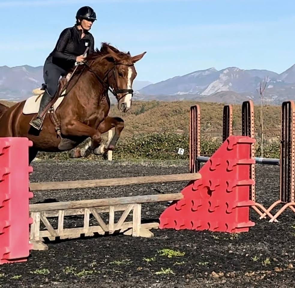 Jument SF polyvalente