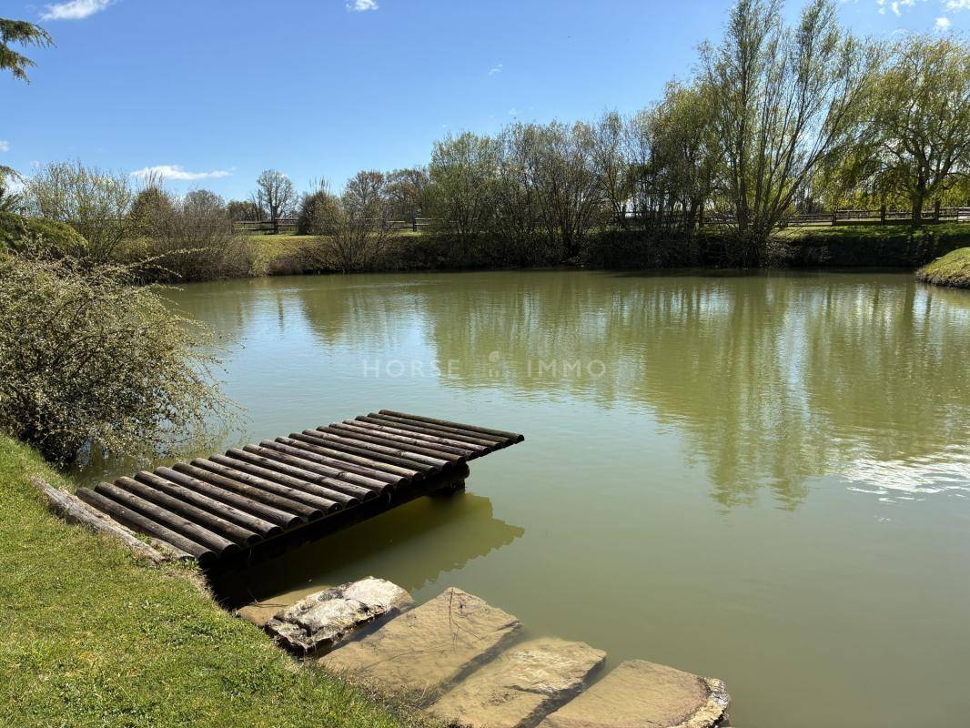Propri&eacute;t&eacute; &eacute;questre cl&eacute; en main avec man&egrave;ge et carri&egrave;re, 15