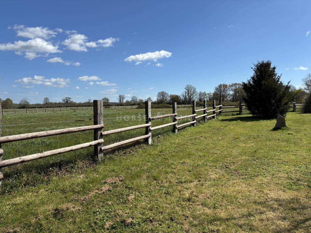 Propri&eacute;t&eacute; &eacute;questre cl&eacute; en main avec man&egrave;ge et carri&egrave;re, 15