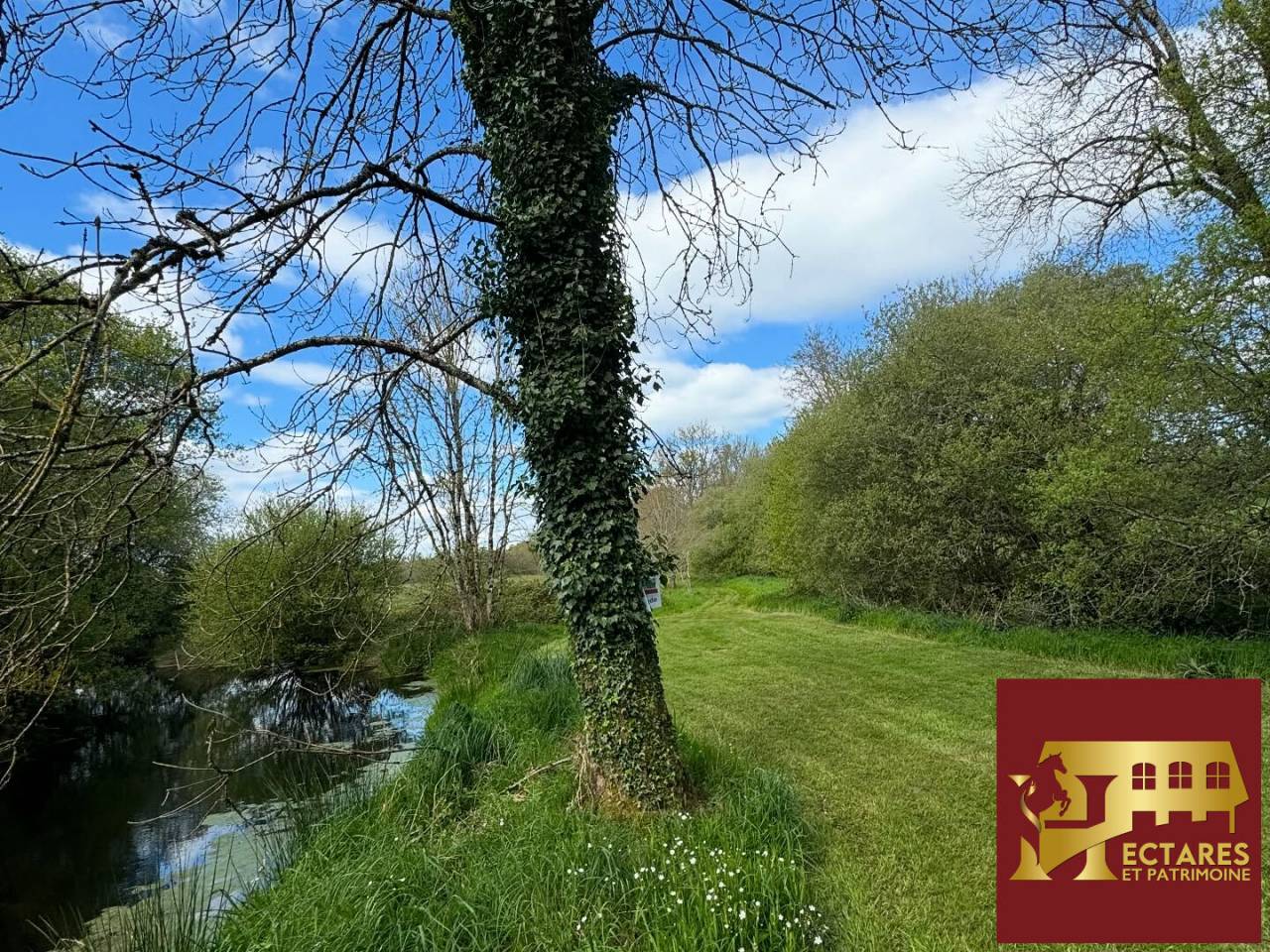 Domaine &eacute;questre 26 Hectares avec G&icirc;te
