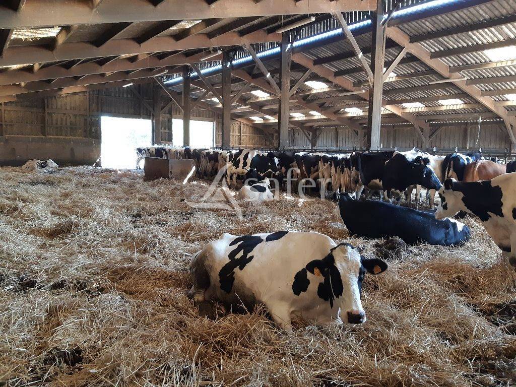 Propri&eacute;t&eacute; d'environ 47h40 avec sa stabulation