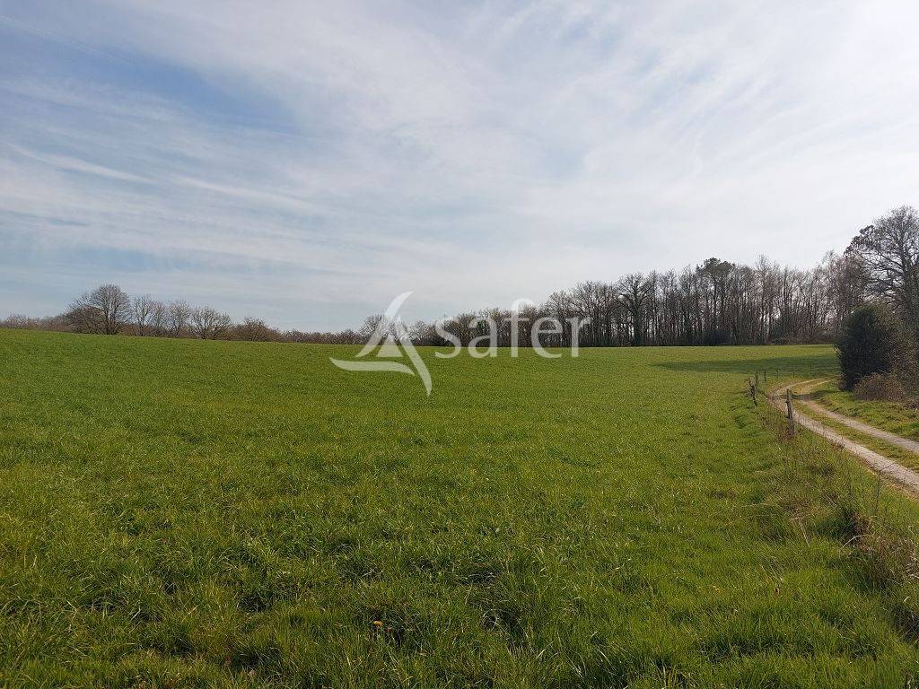 Propri&eacute;t&eacute; d'environ 47h40 avec sa stabulation