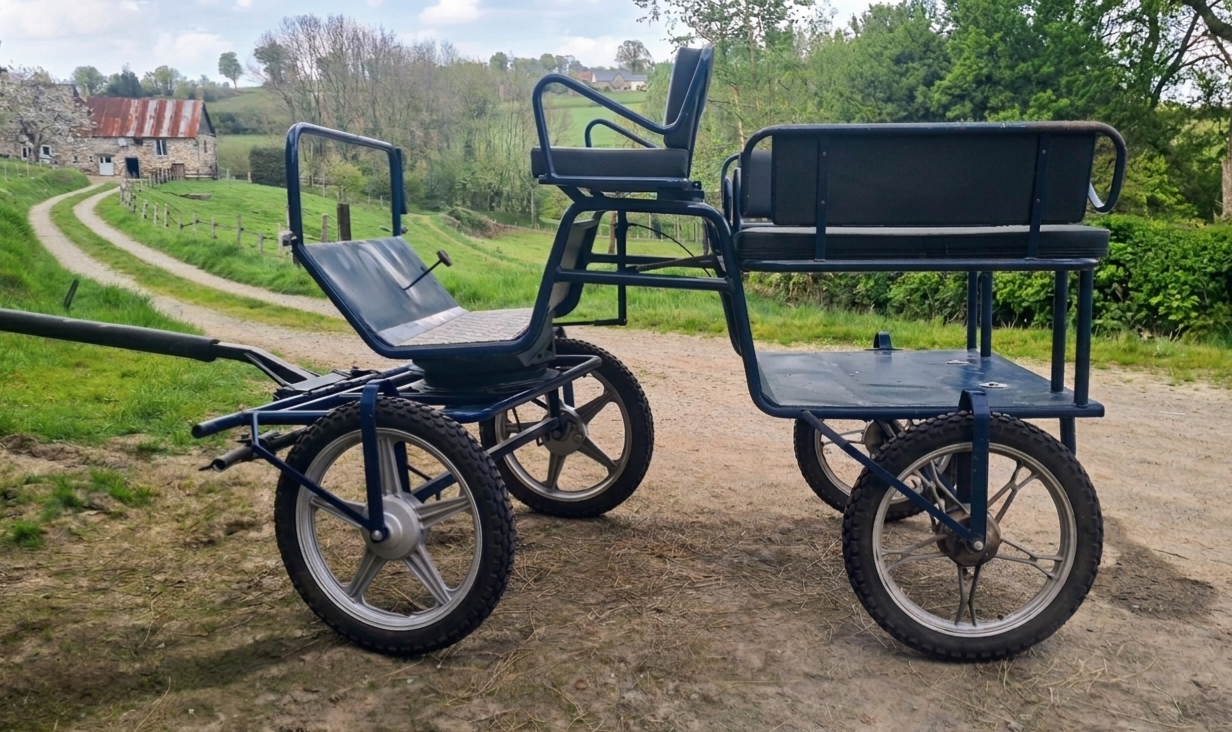 Cal&egrave;che pour poney ou &acirc;ne - timon et brancards - 50