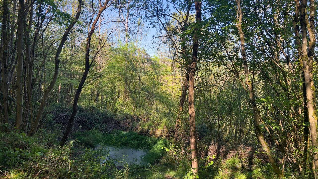 Propri&eacute;t&eacute; d&rsquo;exception de 22 hectares (31)