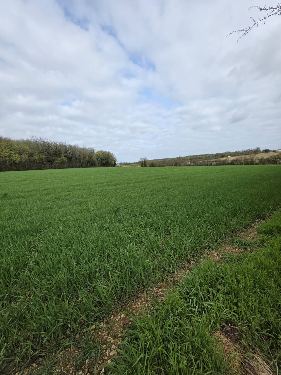 Logis Historique et Paradis &Eacute;questre sur 13,5 Hectares