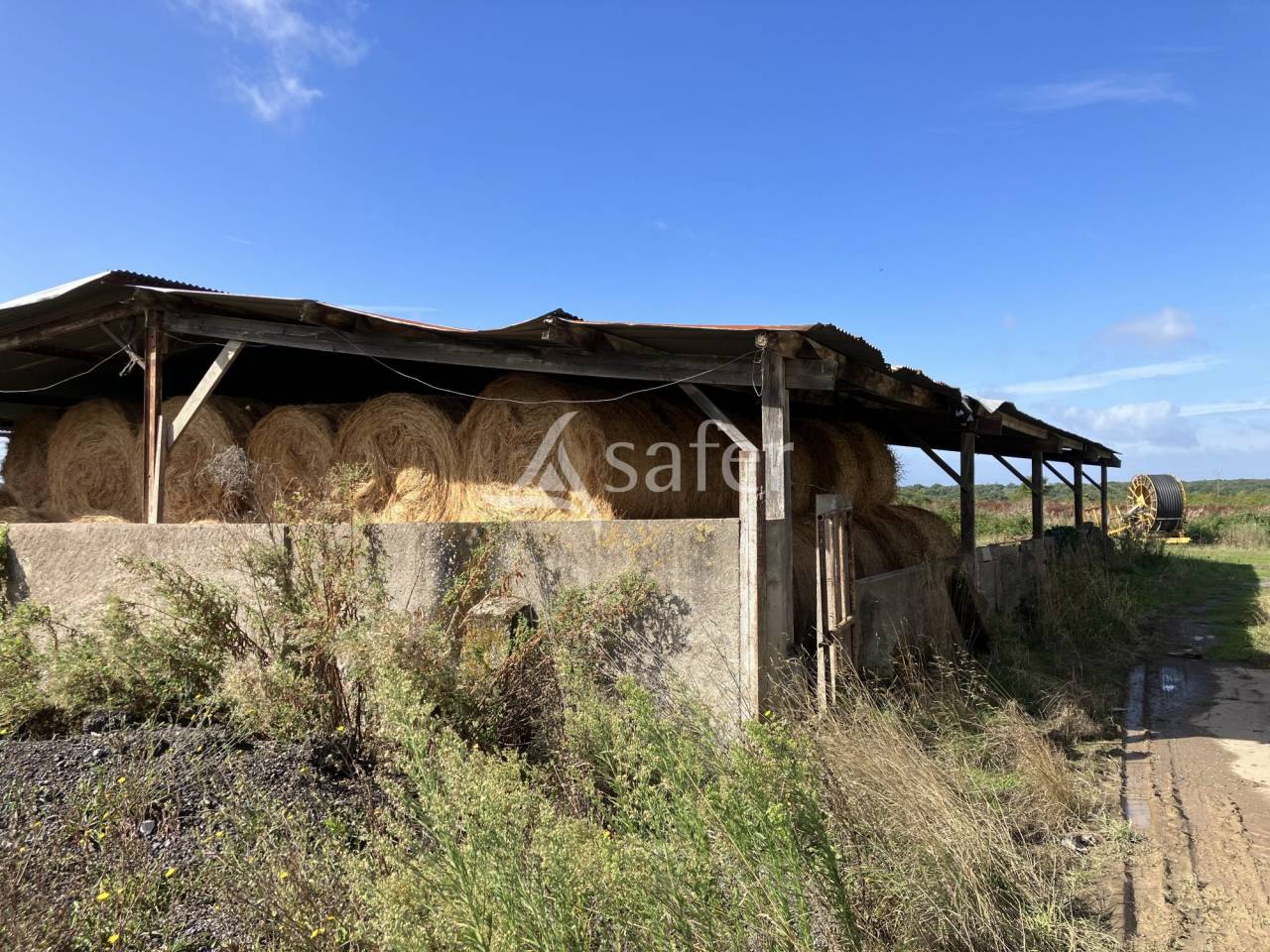 Ferme proche d'Angers