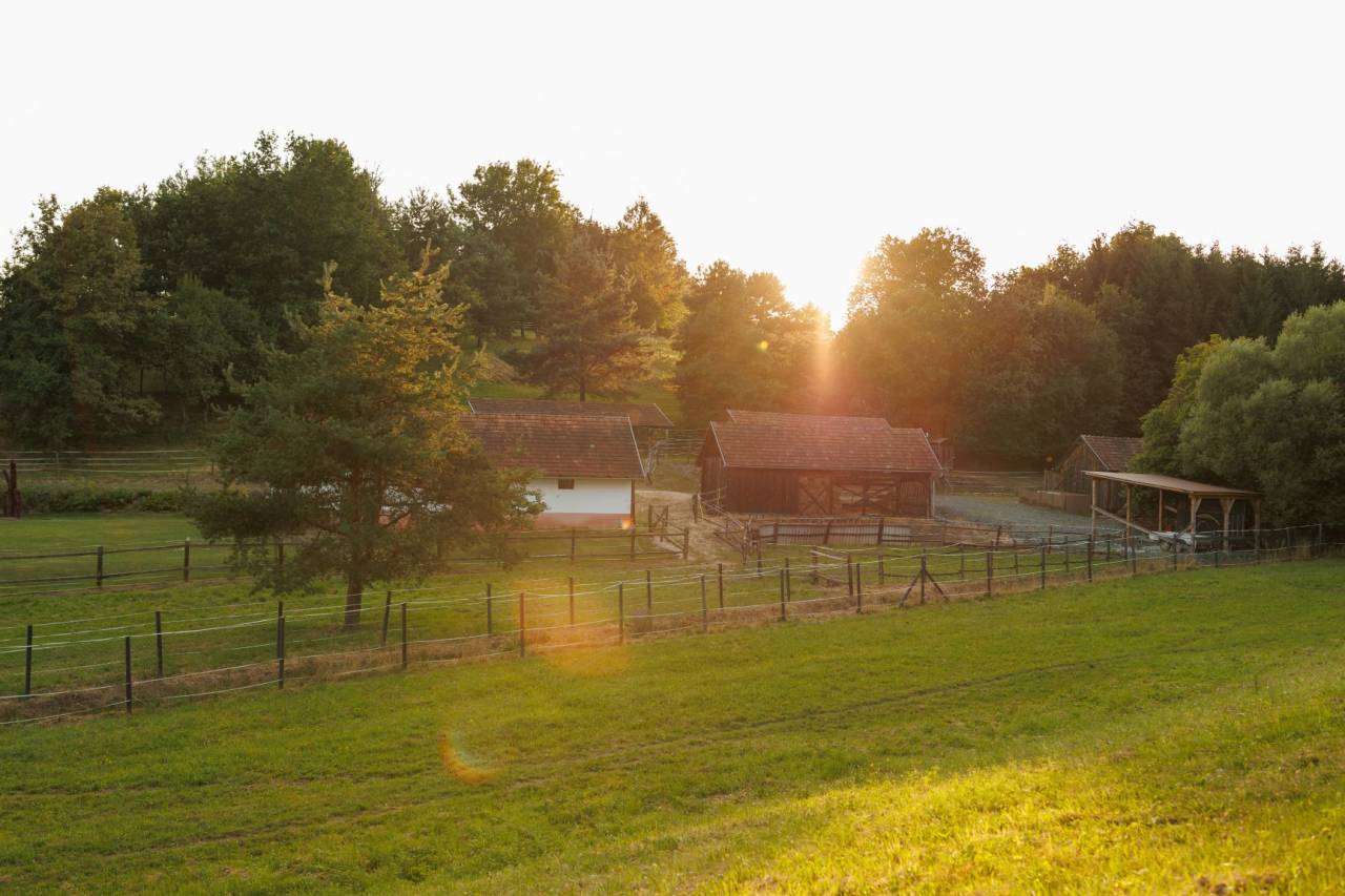 Propri&eacute;t&eacute; &eacute;questre A vendre 