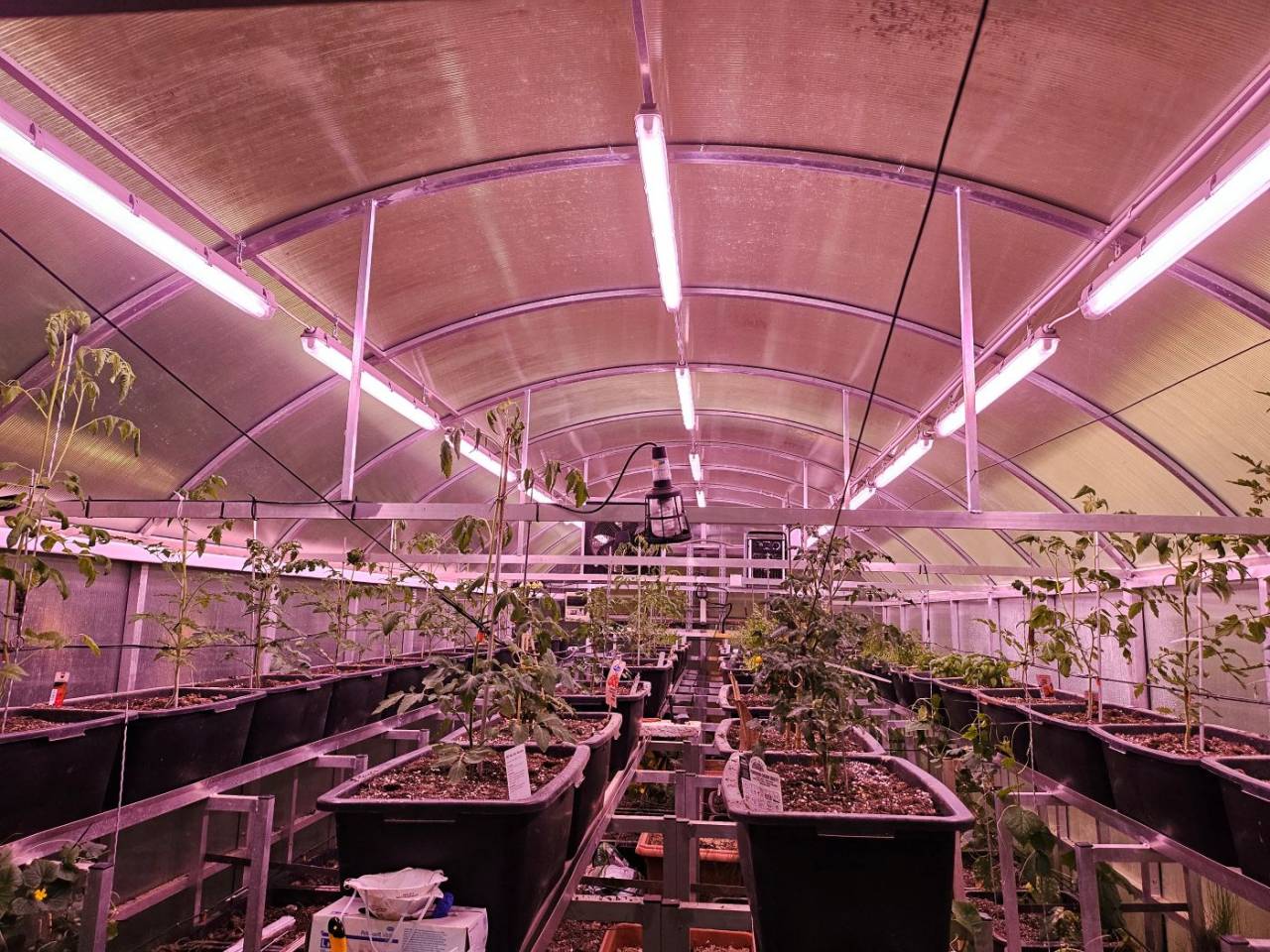 Propri&eacute;t&eacute; &eacute;questre A vendre 