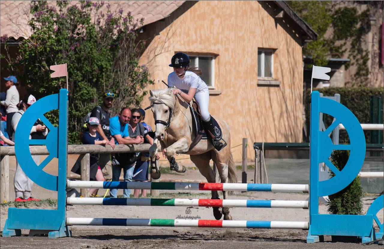 Poney PFS taille D pour CCE