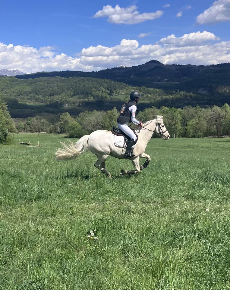 Poney PFS taille D pour CCE