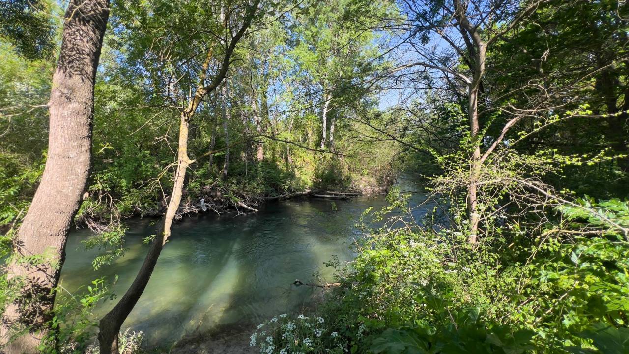 Somptueuse propri&eacute;t&eacute; de charme entre Provence et Lubero